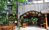 Туры в отель Turkmen Tree Houses