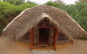 Туры в отель Jungle Beach Camp Ahungalla