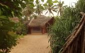 Туры в отель Jungle Beach Camp Ahungalla