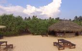 Туры в отель Jungle Beach Camp Ahungalla