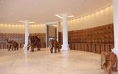 Туры в отель Araliya Beach Resort & Spa