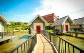 Туры в отель Araliya Beach Resort & Spa