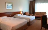 Туры в отель Copthorne Airport Hotel Dubai