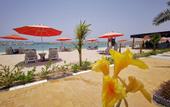 Туры в отель Mirage Bab Al Bahr Beach Hotel