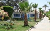 Туры в отель El Samaka Beach
