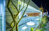 Туры в отель Domina Coral Bay Bellavista