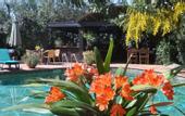 Туры в отель El Vino Hotel & Suites