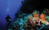 Туры в отель Oblu Xperience Ailafushi