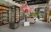Туры в отель Oblu Xperience Ailafushi