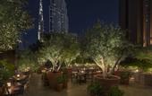 Туры в отель The Dubai Edition