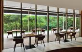 Туры в отель Sheraton Kosgoda Turtle Beach Resort