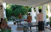 Туры в отель Elea Beach