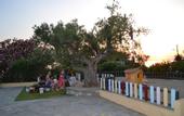 Туры в отель Acrotel Elea Beach