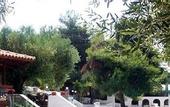 Туры в отель Acrotel Elea Beach
