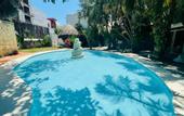 Туры в отель Hotel Maya del Carmen