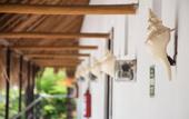 Туры в отель Hotel Maya del Carmen
