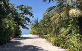 Туры в отель Tropical Sands Kelaa