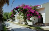 Туры в отель Anadolu Hotels Didim Club