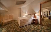 Туры в отель EA Hotel Elefant
