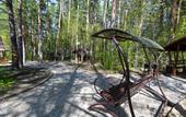 Туры в отель Заимка Лесника База Отдыха