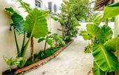 Туры в отель Banyan Villa