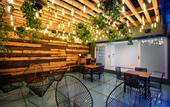 Туры в отель Hotel MX reforma