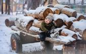 Туры в отель Тайга Эко-Парк