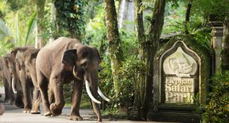 Elephant Safari Park Lodge 5*
