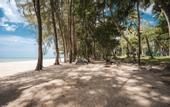 Туры в отель Avani+ Khao Lak Resort