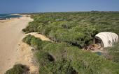 Туры в отель Wild Coast Tented Lodge