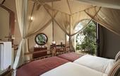 Туры в отель Wild Coast Tented Lodge
