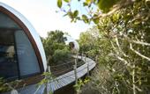Туры в отель Wild Coast Tented Lodge