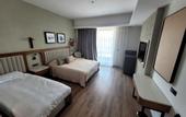 Туры в отель Aletris Deluxe Hotel & Spa
