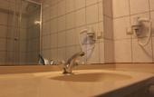 Туры в отель Elit Garden Hotel