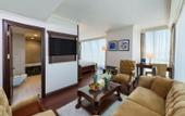 Туры в отель Elite World Istanbul Hotel
