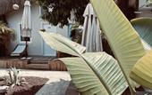 Туры в отель Kale Beach Hotel