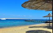 Туры в отель Alia Beach Resort