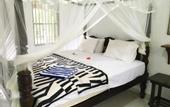 Туры в отель Freedom Villa