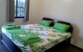 Туры в отель Anu The Guest House (Morjim)