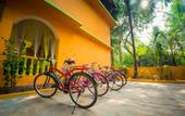 Туры в отель Orange Village (Morjim)