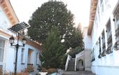 Туры в отель Горное Солнце