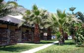 Туры в отель Elounda Palm