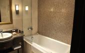 Туры в отель Crowne Plaza Istanbul - Asia