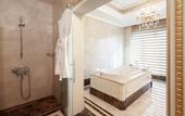 Туры в отель Crowne Plaza Istanbul - Asia