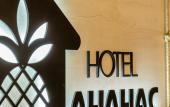 Туры в отель Ананас