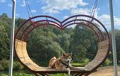 Туры в отель Экопарк Бобровый мыс