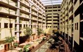 Туры в отель Embassy Suites Atlanta - at Centennial Olympic Park