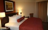 Туры в отель Embassy Suites Atlanta-Perimeter Center