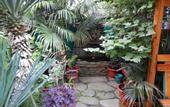 Туры в отель Cordial Hotel