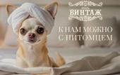 Туры в отель Винтаж Апарт-отель (Абрау-Дюрсо)